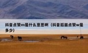 抖音点赞m是什么意思啊（抖音后面点赞w是多少）