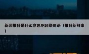 新闻推特是什么意思啊网络用语（推特新鲜事）