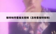 推特如何看推文视频（怎样看推特视频）