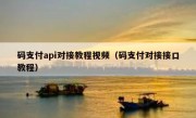 码支付api对接教程视频（码支付对接接口教程）