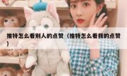 推特怎么看别人的点赞（推特怎么看我的点赞）