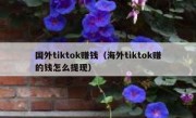 国外tiktok赚钱（海外tiktok赚的钱怎么提现）