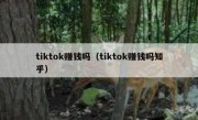 tiktok赚钱吗（tiktok赚钱吗知乎）