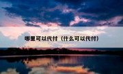 哪里可以代付（什么可以代付）
