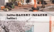 twitter怎么打不开了（为什么打不开twitter）