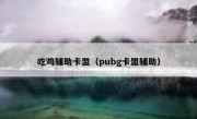 吃鸡辅助卡盟（pubg卡盟辅助）