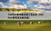 Twitter账号被冻结了怎么办（twitter账号怎么解冻结）
