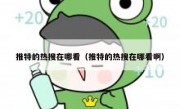 推特的热搜在哪看（推特的热搜在哪看啊）
