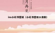 ins小红书壁纸（小红书壁纸小清新）