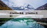 上twitter教程（上twitter方法）