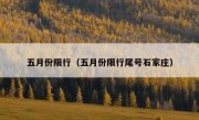 五月份限行（五月份限行尾号石家庄）