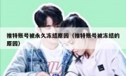 推特账号被永久冻结原因（推特账号被冻结的原因）