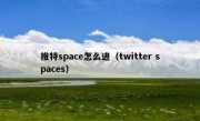 推特space怎么进（twitter spaces）