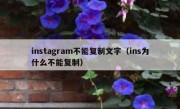 instagram不能复制文字（ins为什么不能复制）