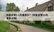 抖音点赞1.1万是多少?（抖音点赞11万是多少钱）