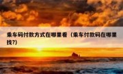 乘车码付款方式在哪里看（乘车付款码在哪里找?）