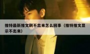 推特最新推文刷不出来怎么回事（推特推文显示不出来）