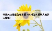 微博关注分组在哪里看（微博怎么看别人的关注分组）