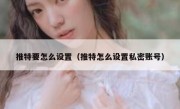 推特要怎么设置（推特怎么设置私密账号）