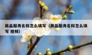 商品服务名称怎么填写（商品服务名称怎么填写 视频）
