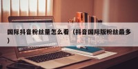 国际抖音粉丝量怎么看（抖音国际版粉丝最多）