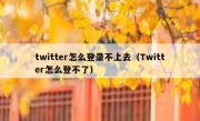 twitter怎么登录不上去（Twitter怎么登不了）