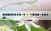 服务器购买多少钱一年（一个服务器一年多少钱）