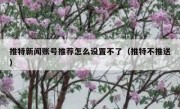 推特新闻账号推荐怎么设置不了（推特不推送）