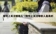 推特上关注哪些人（推特上关注哪些人是真的）