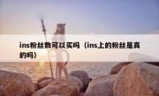 ins粉丝数可以买吗（ins上的粉丝是真的吗）