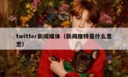 twitter新闻媒体（新闻推特是什么意思）