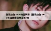 借钱应急3000微信转账（借钱应急3000微信转账稳点花提坝）