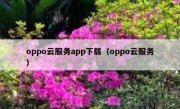oppo云服务app下载（oppo云服务）
