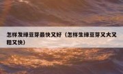 怎样发绿豆芽最快又好（怎样生绿豆芽又大又粗又快）