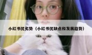 小红书优劣势（小红书优缺点和发展趋势）