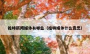 推特新闻媒体有哪些（推特媒体什么意思）