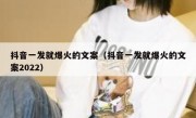 抖音一发就爆火的文案（抖音一发就爆火的文案2022）