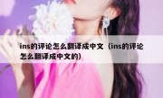 ins的评论怎么翻译成中文（ins的评论怎么翻译成中文的）