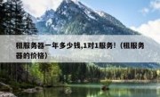 租服务器一年多少钱,1对1服务!（租服务器的价格）