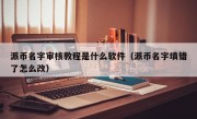 派币名字审核教程是什么软件（派币名字填错了怎么改）