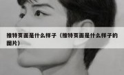 推特页面是什么样子（推特页面是什么样子的图片）