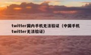 twitter国内手机无法验证（中国手机twitter无法验证）