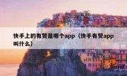 快手上的有赞是哪个app（快手有赞app叫什么）