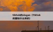 tiktok的slogan（TIktok的图标什么样的）