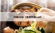 付款COD（货到付款cod）