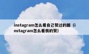 instagram怎么看自己赞过的图（instagram怎么看我的赞）