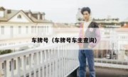 车牌号（车牌号车主查询）