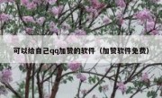 可以给自己qq加赞的软件（加赞软件免费）