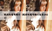 机动车尾号限行（机动车尾号限行北京2022）