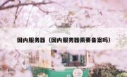 国内服务器（国内服务器需要备案吗）